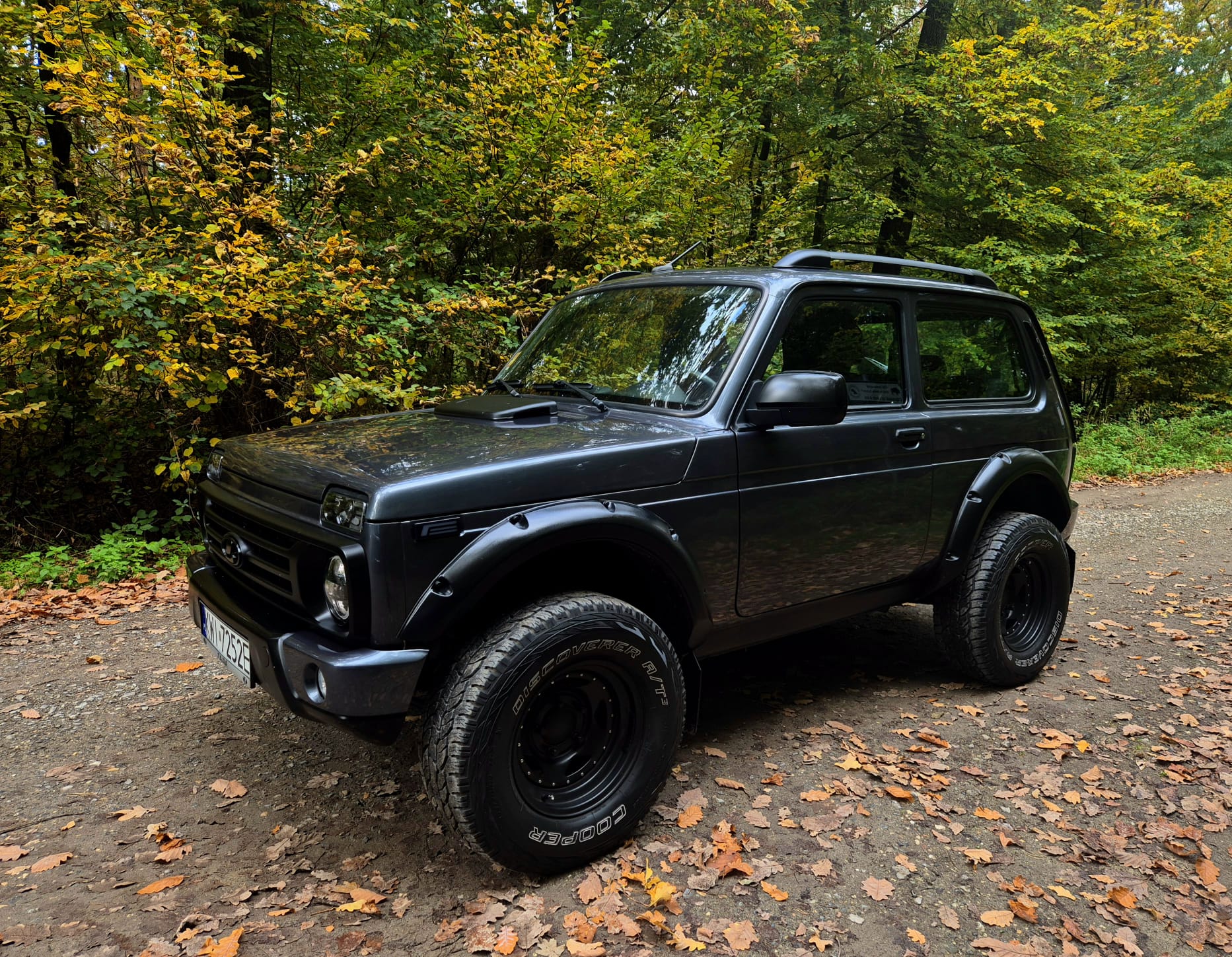 Services Łada niwa w lesie